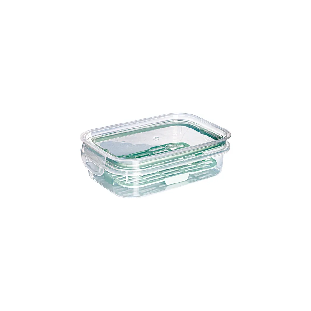 Perfect Lock Rectangular Container with Drainer 500 ml