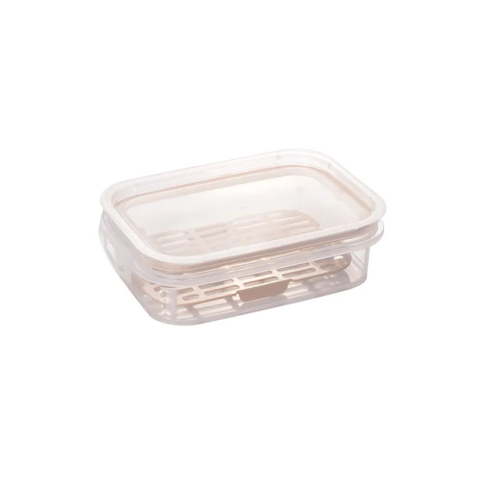 Perfect Lock Rectangular Container with Drainer 500 ml